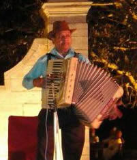 accordion players near me nagpur india