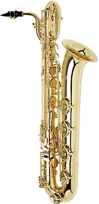 good saxophone on rent nagpur