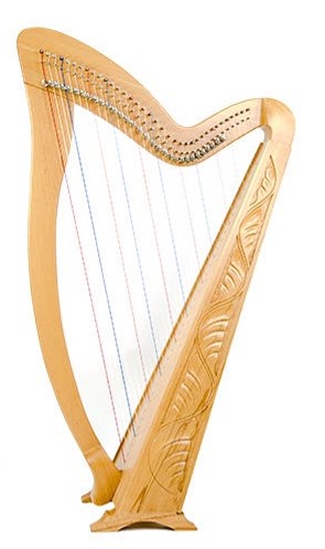 best harp on rent nagpur