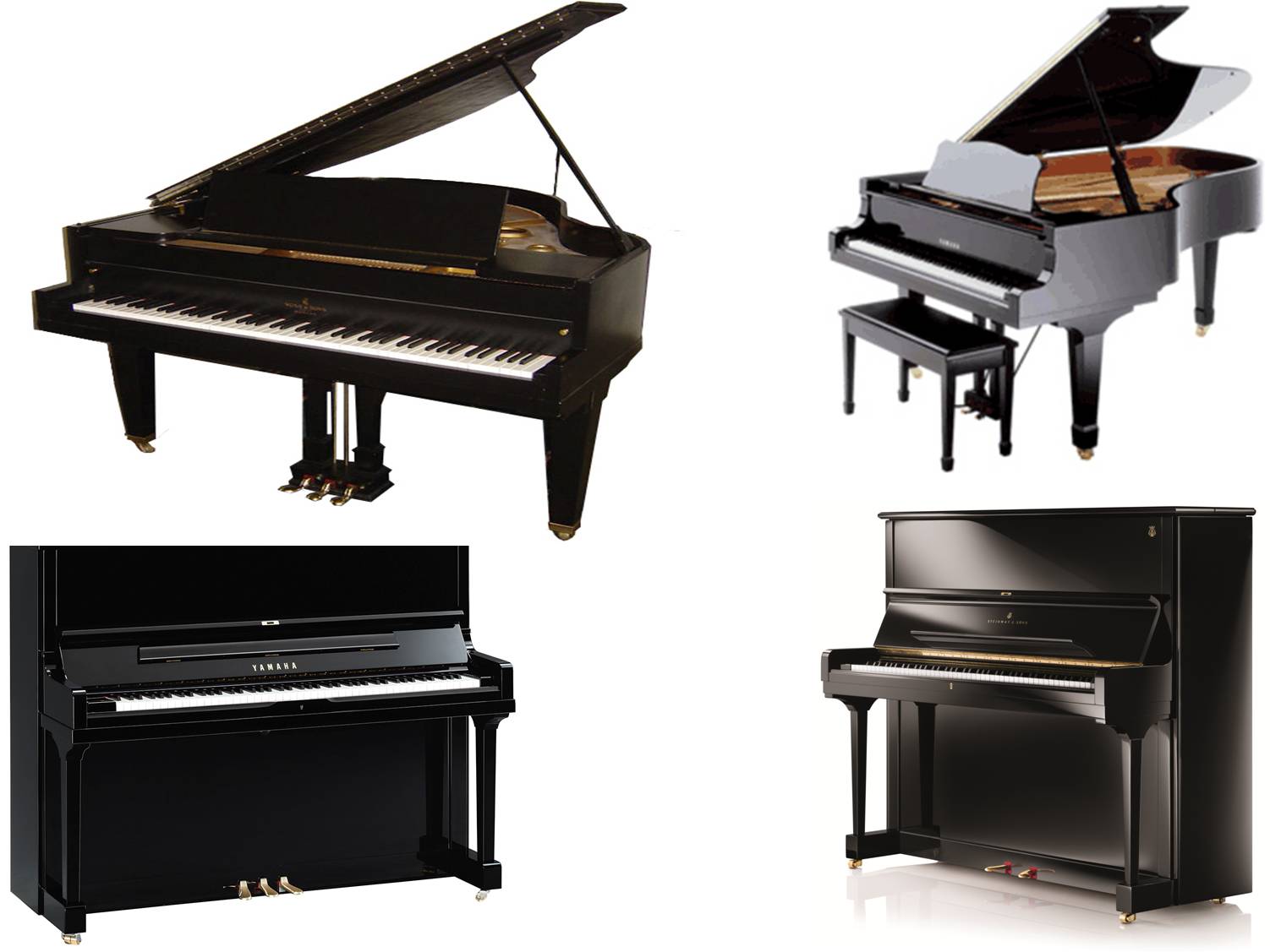 piano on rent nagpur